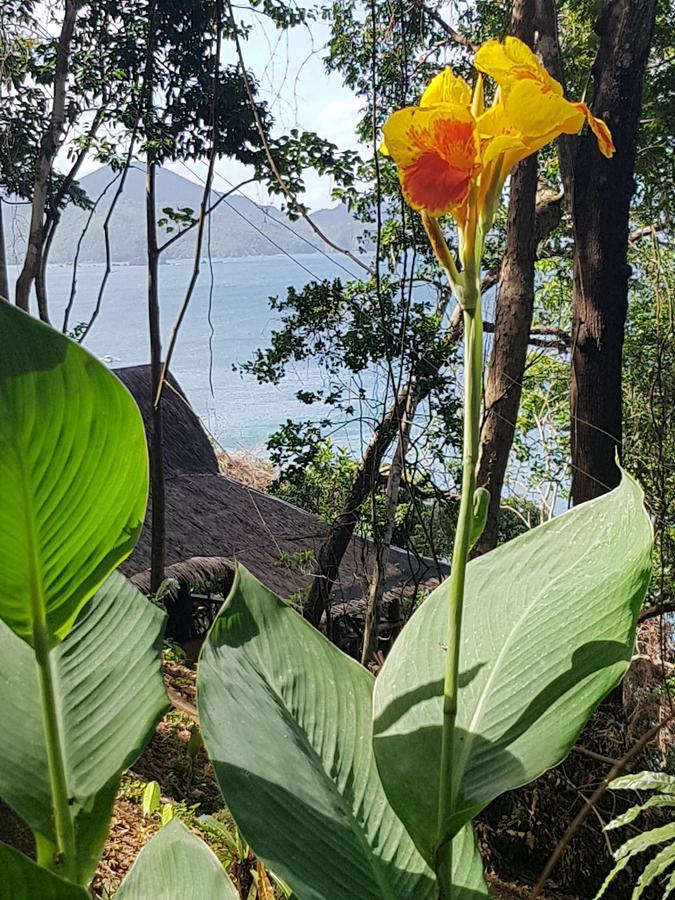 Sunny Island Resort (Adults Only) El Nido Buitenkant foto